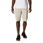 Short Silver Ridge Cargo Hombre