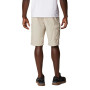 Short Silver Ridge Cargo Hombre