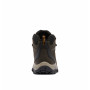 Zapatos Newton Ridge Plus ll Hombre