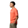 Camiseta Basic Logo Hombre