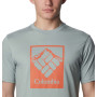 Camiseta Csc Seasonal Logo Tee Hombre